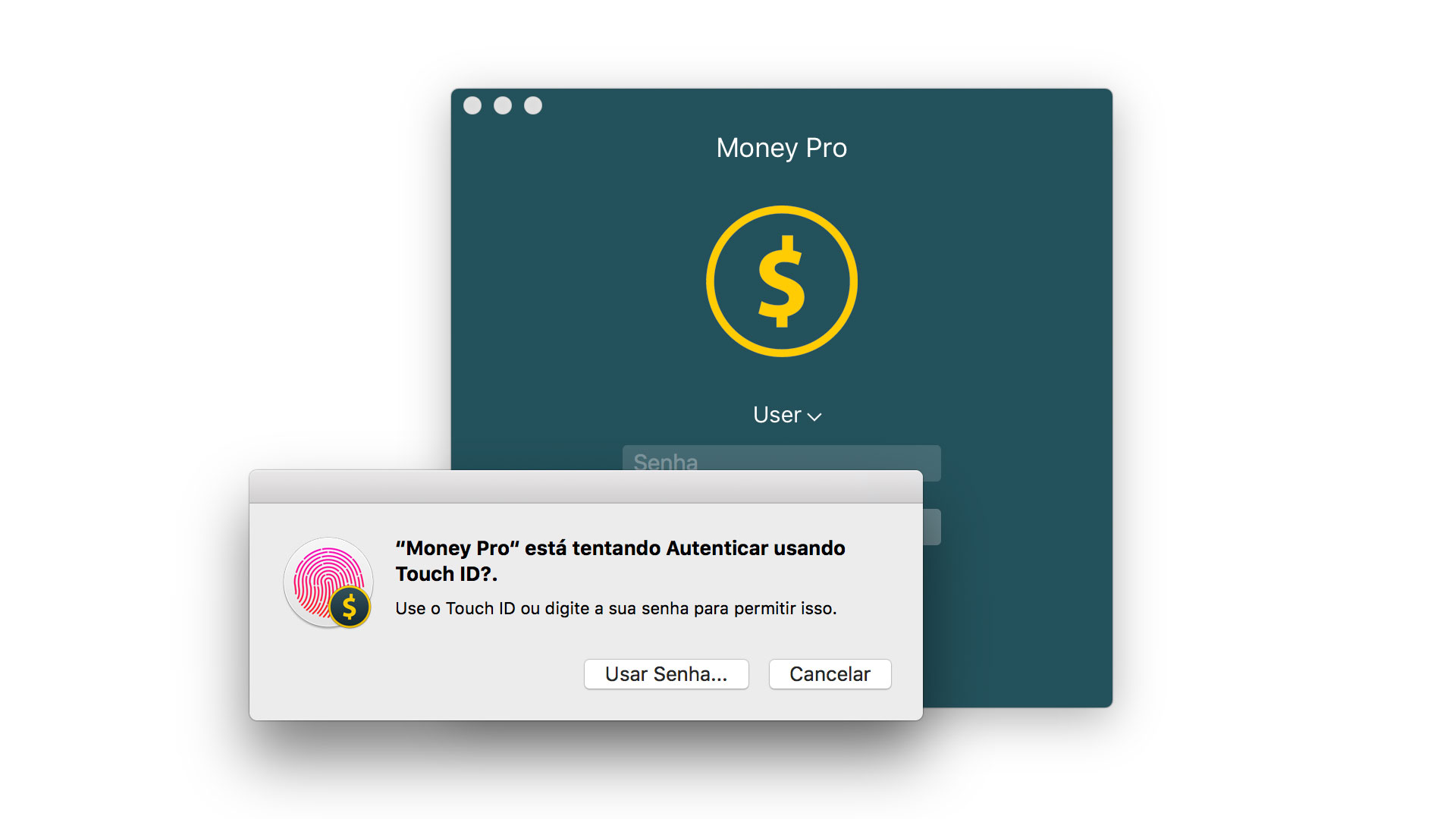 instal the new for mac Money Pro