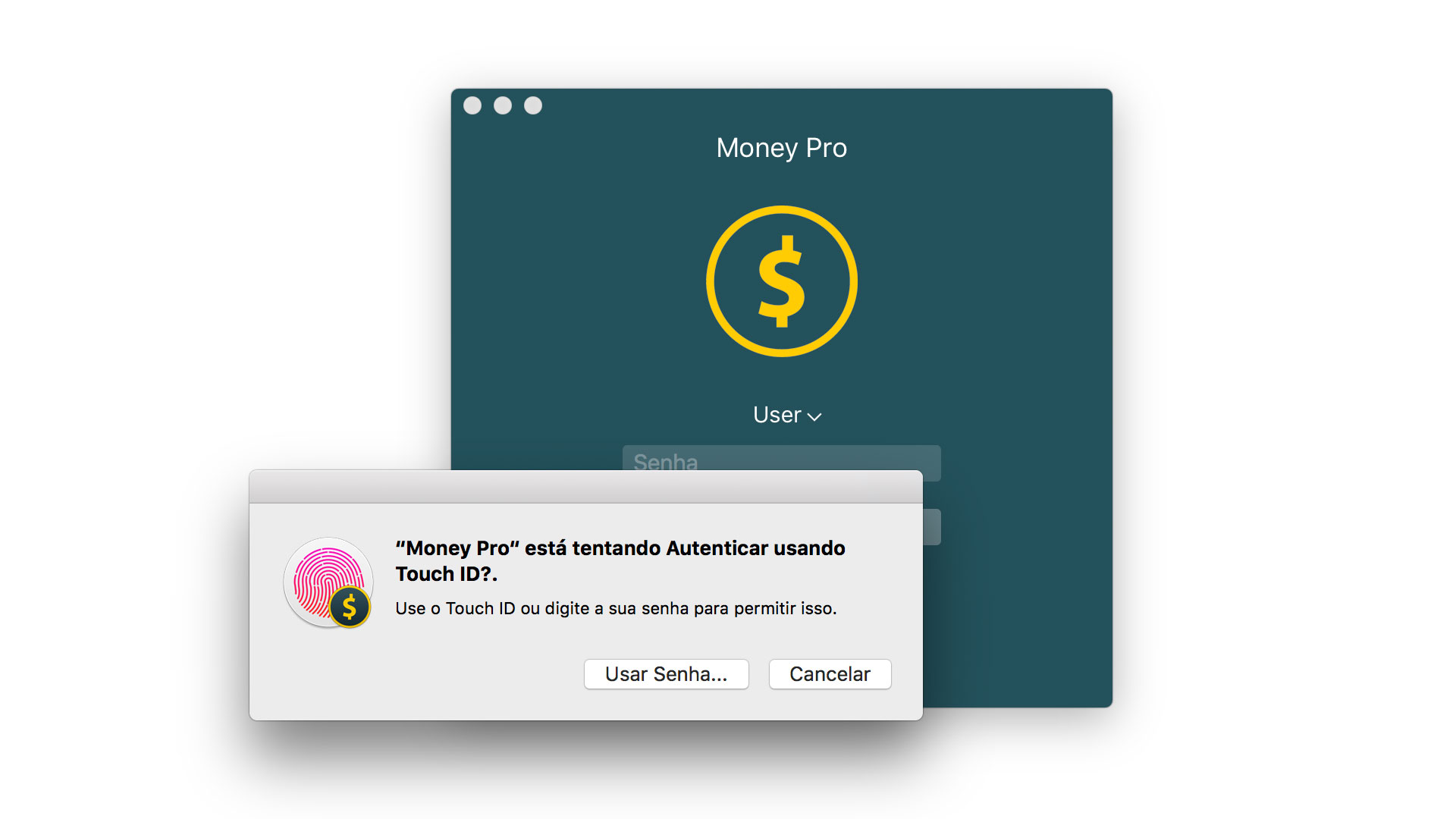 Money Pro - Touch ID (Face ID) - Mac