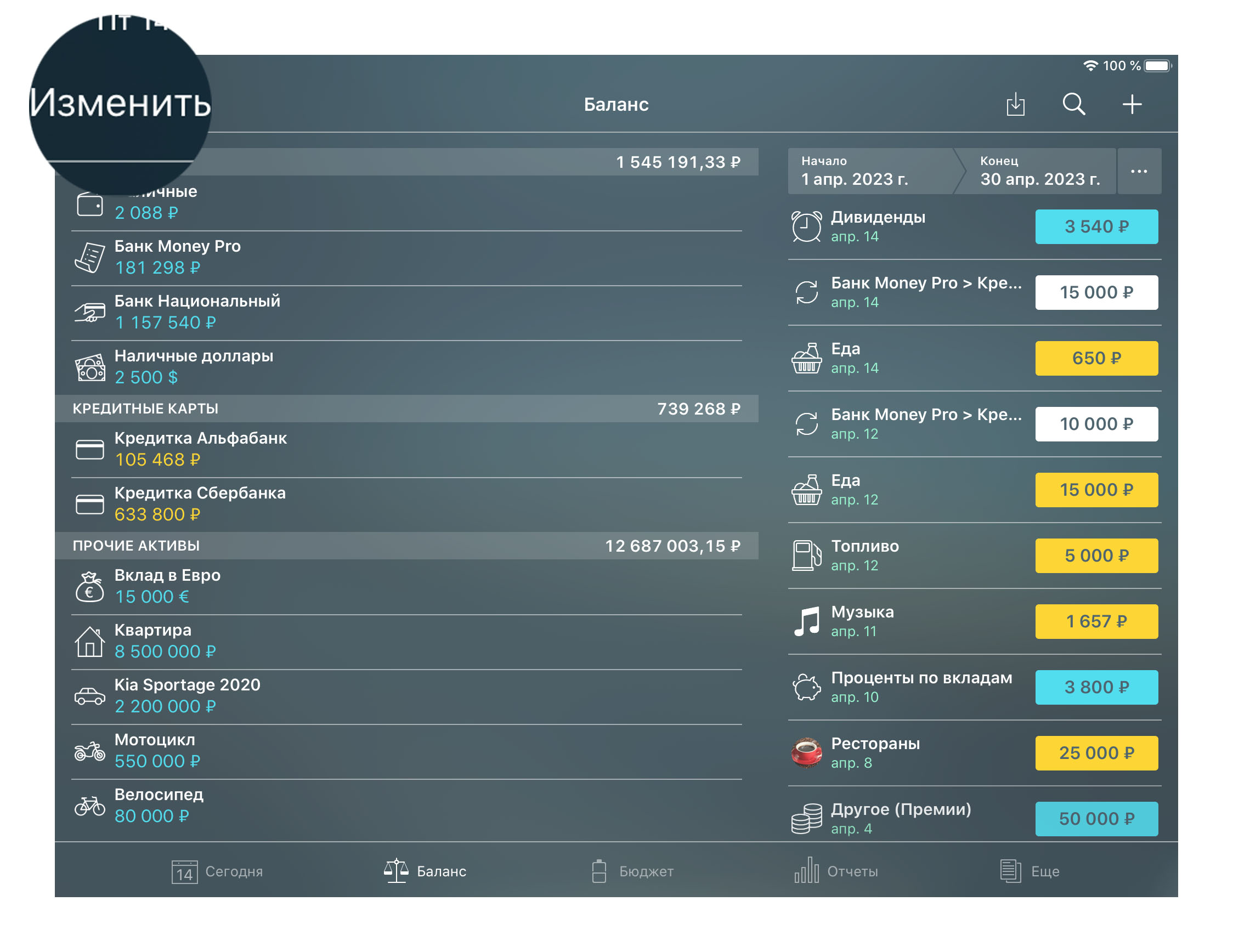 Money Pro - Баланс - Редактирование - iPad