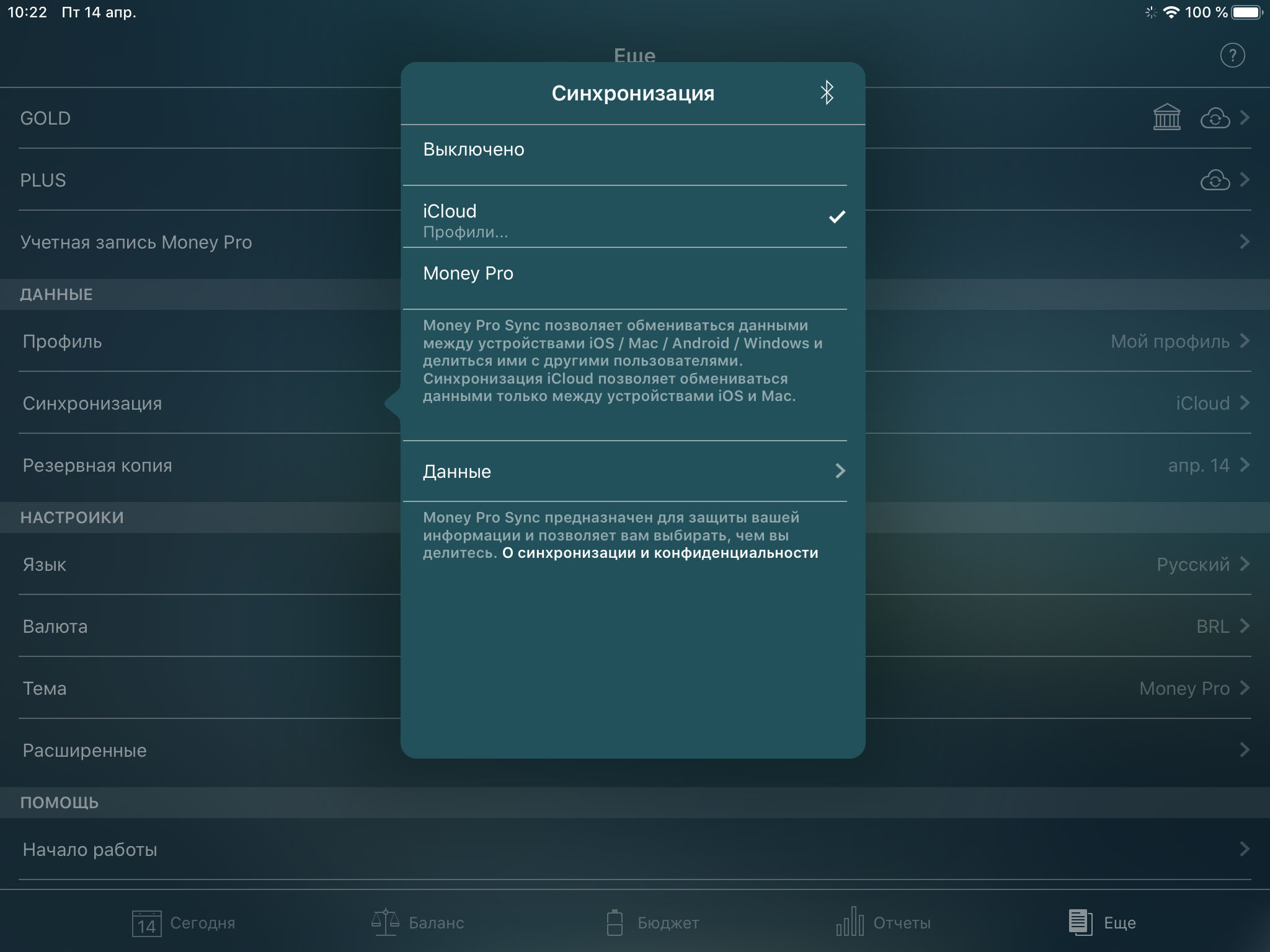 Money Pro - Синхронизация iCloud (iOS, Mac) - iPad