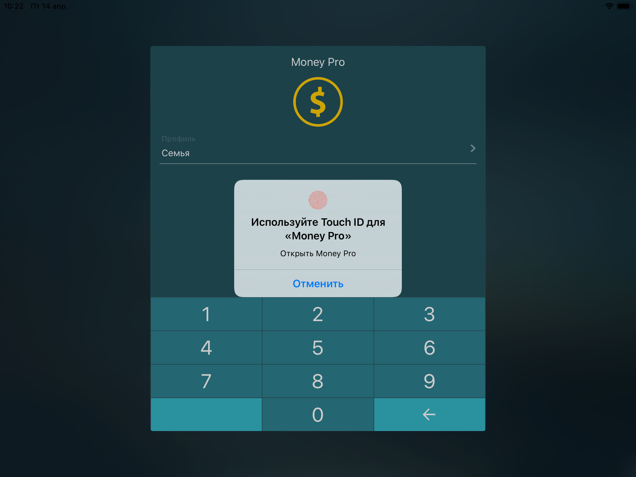 Money Pro - Система идентификации Touch ID (Face ID) - iPad