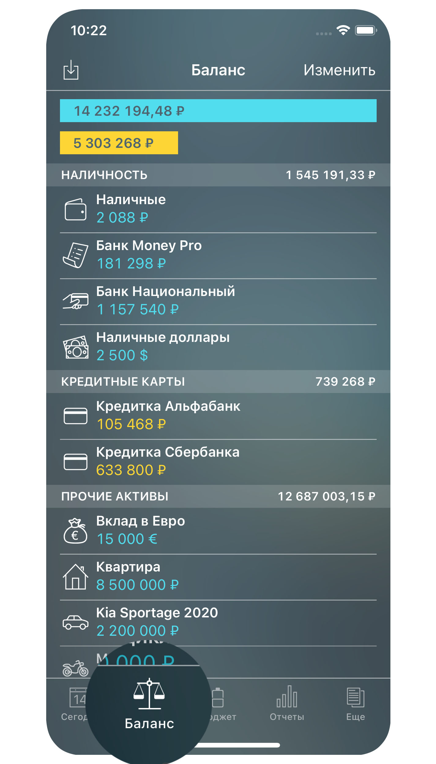 Money Pro - Баланс - iPhone
