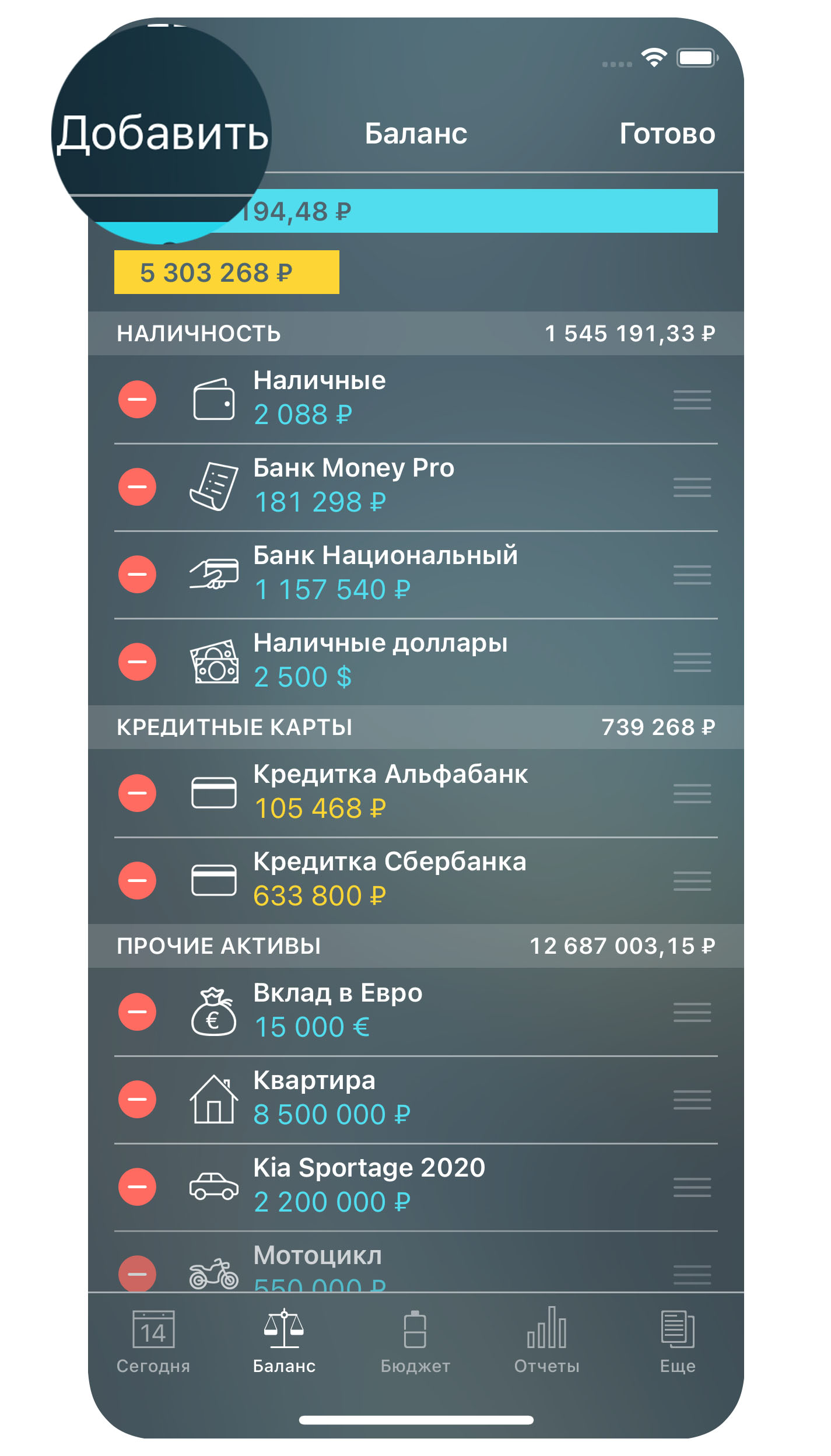 Money Pro - Баланс - Добавление - iPhone