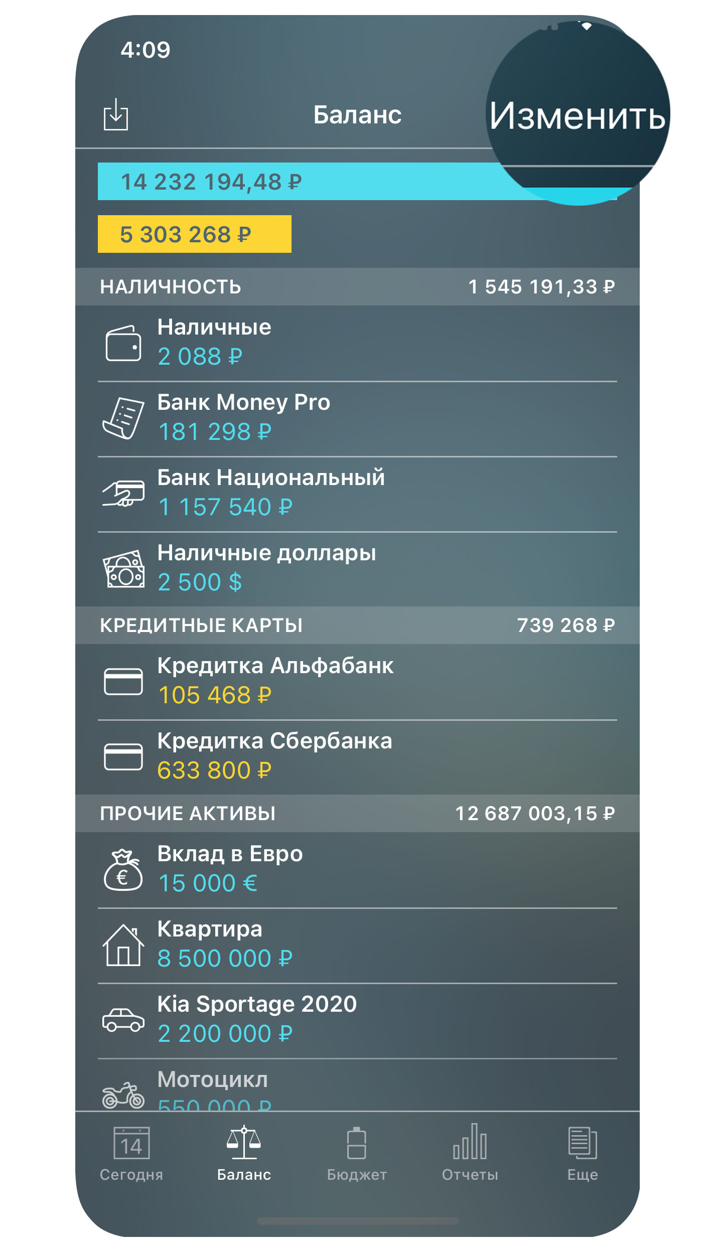 Money Pro - Баланс - Редактирование - iPhone