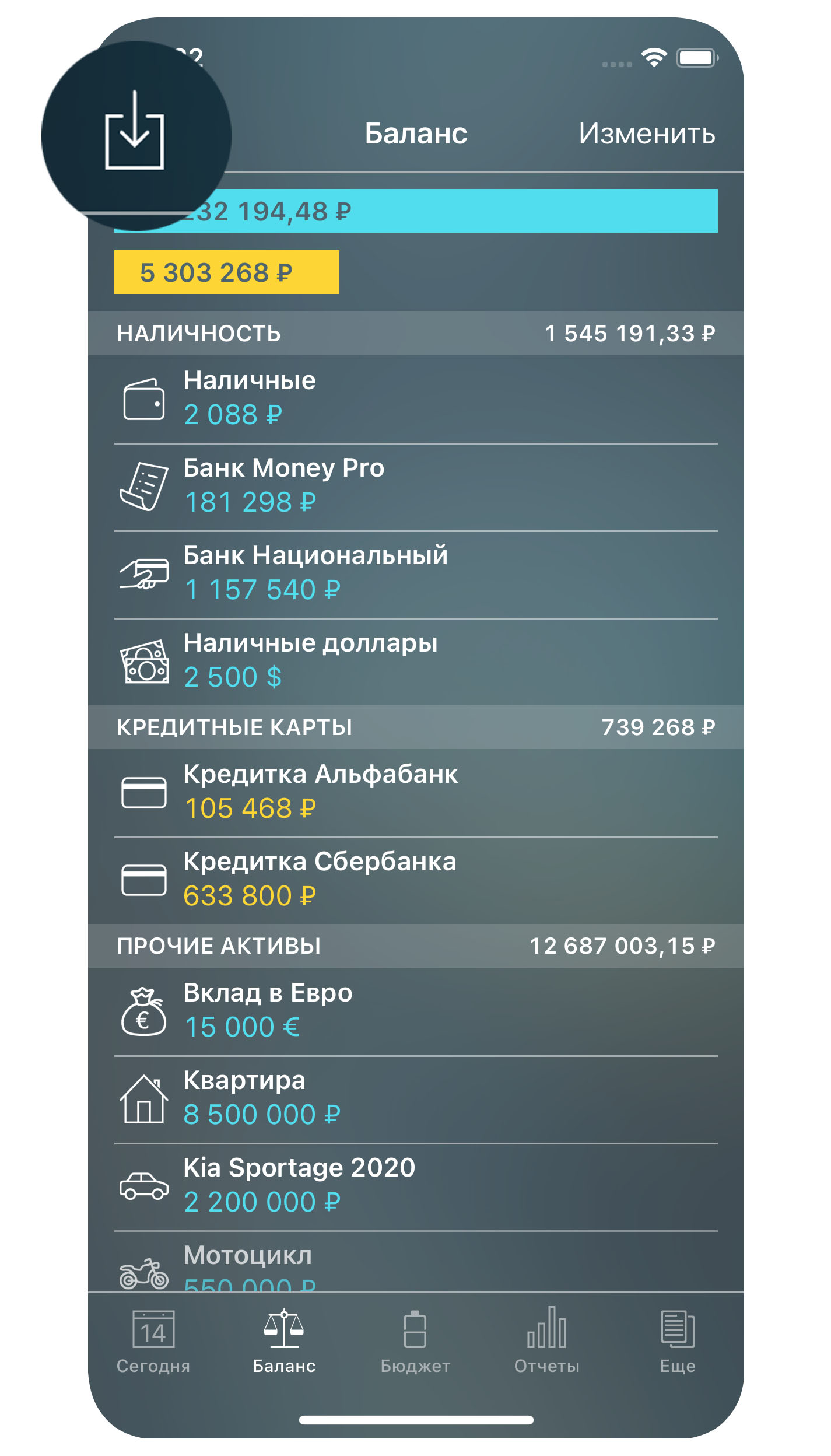 Money Pro - Импорт CSV, OFX - iPhone