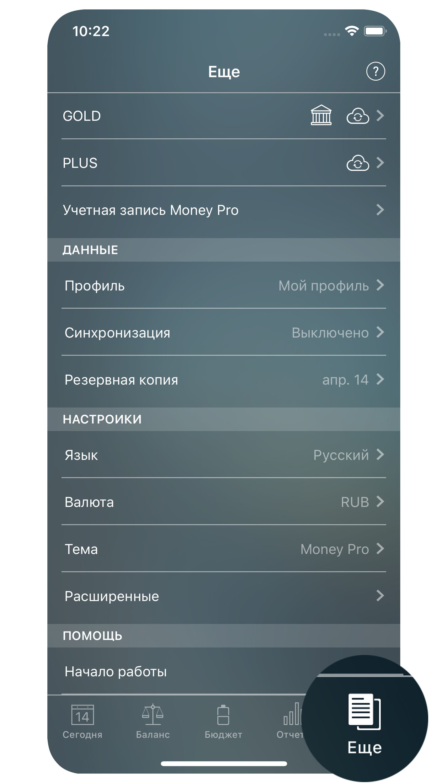 Money Pro - Ещё (резервная копия, профили, синхронизация) - iPhone