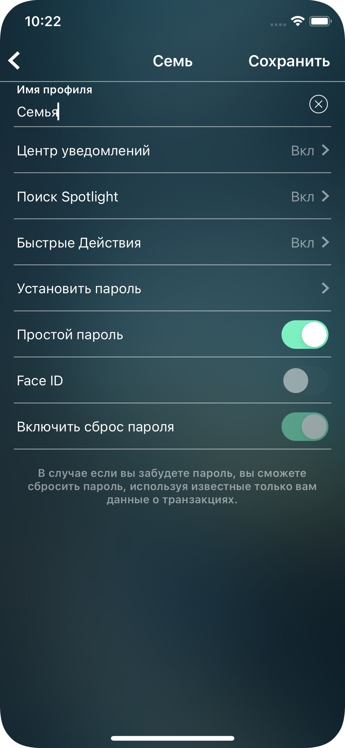 Money Pro - Защита данных паролем - iPhone