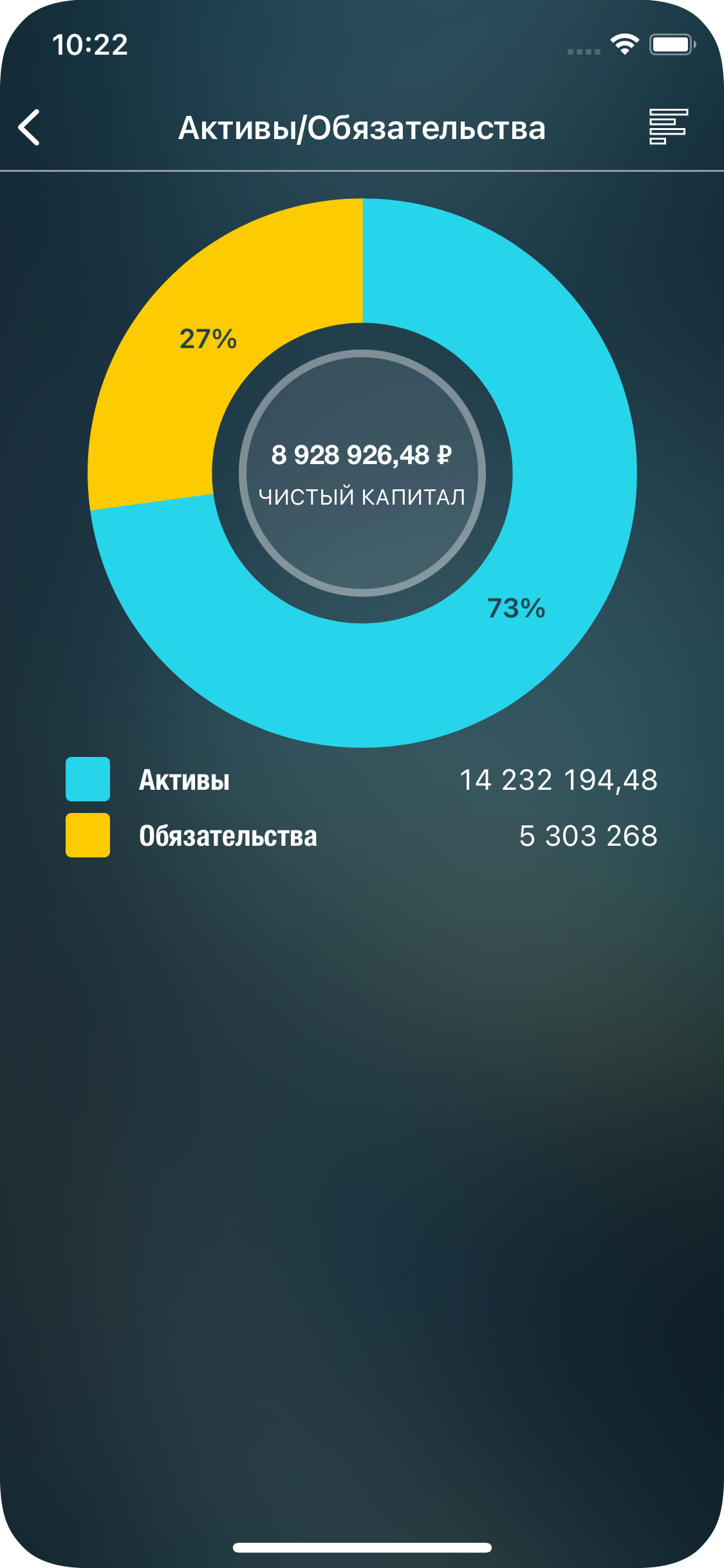 Money Pro - Отчёт “Активы/Обязательства” - iPhone