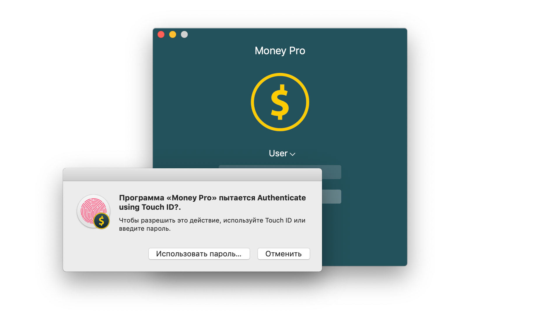 Money Pro - Система идентификации Touch ID (Face ID) - Mac